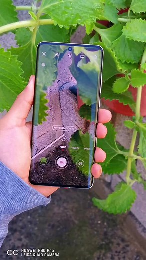 Huawei P50 Pro Camera Features and Editing in 2024