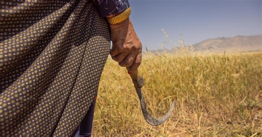 Climate Crisis Drives Displacement, Worsens Afghanistan’s Humanitarian Needs: IOM Report | IOM Afghanistan