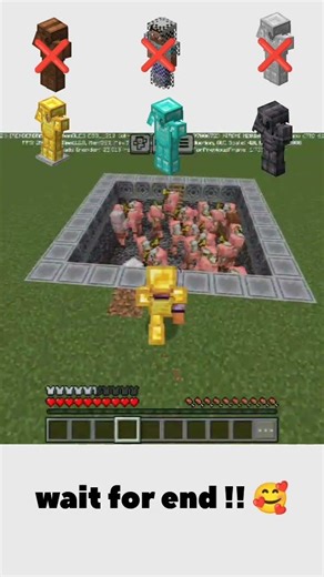 Which Armor Can Survive the Zombified Piglin #Minecraft#MinecraftMemes#Gaming #Shorts#youtubeshorts