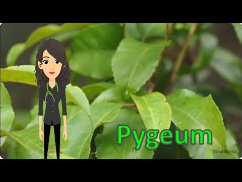 Pygeum – How Does It Work? Prostate Health, Male Fertility, Urine Flow, Sperm Quality, Semen Volume