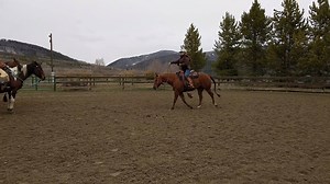 27K views · 103 reactions | Are you comfortable posting the trot? Here are some tips I shared this past weekend in one of my sessions at my C Lazy U Ranch Women's Riding and Wholeness Retreat with Barbra Schulte! (If you watch all the way to the end, my horse, Annie, has something to say!) ;) Horses horses Horseback Riding Horse training Troxel Helmets Circle Y Saddles Toklat Originals Myler Bits® #JulieGoodnight #horsemanship | Julie Goodnight Horsemanship | Facebook