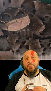 Biólogo Henrique o Biólogo das Cobras on Reels