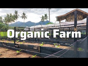Organic Farm Business in the Philippines: New Update 🌸🌱