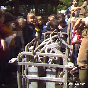 2.9K views · 18 reactions | Where does our food come from? An experiential approach to learning is put to the test at Ashprington Farm in Paignton in this clip from 1986. Film courtesy of The Box Plymouth #BFIReplay | BFI | Facebook