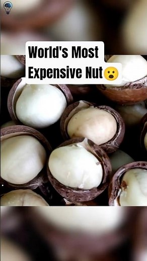 World’s Most Expensive Nut — Why It Costs a Fortune!