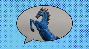 14 Denver Slang Terms You Should Know