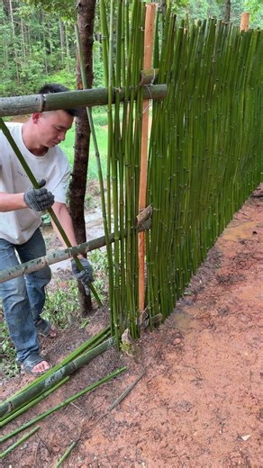 庭の改造 ステップ1 竹のフェンス作り
