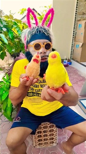 chicken and duck laughing sounds #funny #shorts