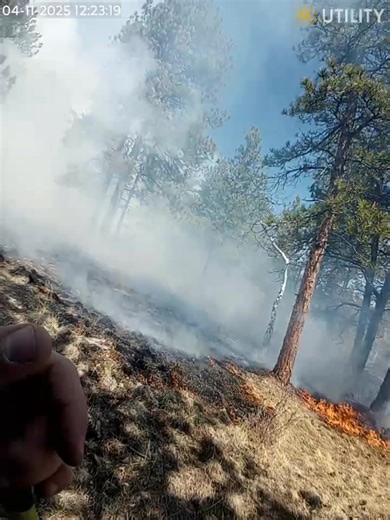 6.4K views · 34 reactions | Jefferson County Sheriff's Office on Reels | Facebook