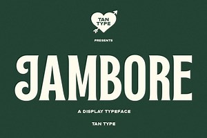 TAN - Jambore, a Serif Font by TanType