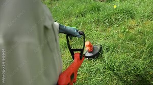 Gardener using electric weed trimmer to trim grass in garden. Lawn care in yard Stock Video