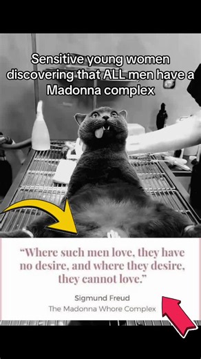 Understanding Misogyny and the Madonna Complex in Male Perceptions of Women