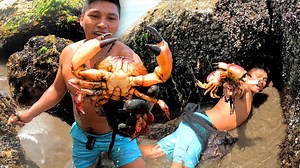 3.1M views · 92K reactions | Fuí a EXTRAER Enormes CANGREJOS ARAÑA y esto fue lo que me pagaron | Victor del mar | Facebook