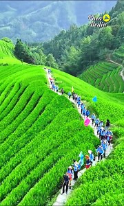 3.2M views · 66K reactions | traditional architecture and natural beauty | Phea Media | Facebook