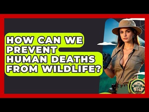 How Can We Prevent Human Deaths From Wildlife? - The Wild Life Explorer