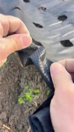 New type of perforated weed control fabric #agricultural tools