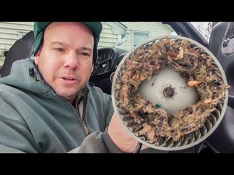 BLOWER NOISE IN CAR OR TRUCK