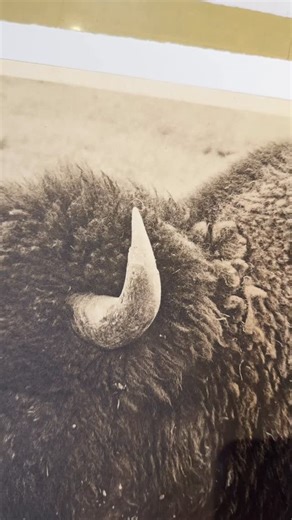 Prints on Paper Studio on Instagram: "Printing some chine colle’d for an artist today. We mixed up a batch of our “Curtis warm” and printed on a vintage kozo. The plate borders really helped accentuate the texture of this awesome photo. We can’t wait to print the rest of the edition."