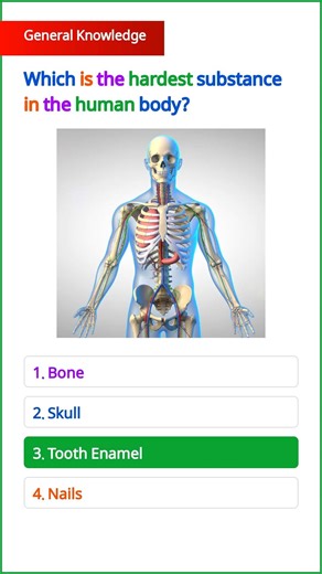GK Questions || GK In English || GK Quiz || Important GK Questions