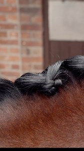 ✨ See how to plait with thread step by step using Smart Grooming products! ✨ 🧵 Here’s what we used: ✔️ Blunt-ended needles ✔️ Waxed plaiting thread ✔️ Plaiting mousse ✔️ Plaiting wax ✔️ Black Edition Perfect Plaits Spray ✔️ Double-sided comb ✔️ Mane gripper 🛒 Shop everything on our website: www.smartgrooming.com | Smart Grooming