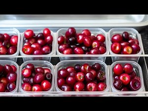 Freeze Cherries with Four Simple Methods: Rinse and Freeze, Sugar Pack, Syrup/Juice, and Cookie