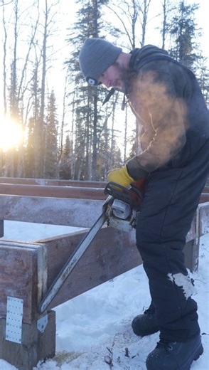 The cabin foundation is complete! A little bird hunt after the work day rewarded us with a fat spruce hen for caramelized onion jalapeño grilled cheeses on fresh sourdough for dinner. 🪓 Cabin progress & homestead happenings, on the channel. ❤️ Til next time, Dennis, Amy & Lena #homesteading #cabin #homesweethome | Holdfast Alaska