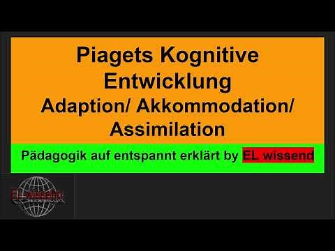 Piagets Adaptionsprozess erklärt/ Adaption/Akkommodation und Assimilation by EL wissend