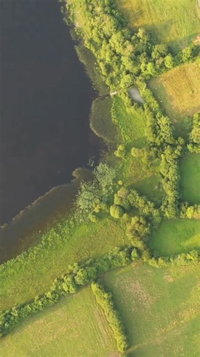 They never forgot... | History Hustle