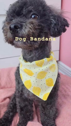DIY Over the Collar Dog Bandana Tutorial