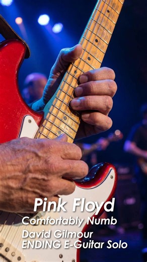 PINK FLOYD『Comfortably Numb | David Gilmour ENDING E-Guitar Solo Second halfⅡ』#pinkfloyd