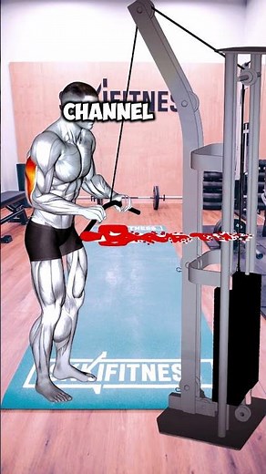 How to Master Cable Triceps Pushdown for Maximum Results