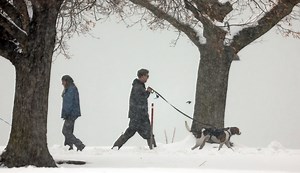 Here’s the exact moment winter arrives in 2025