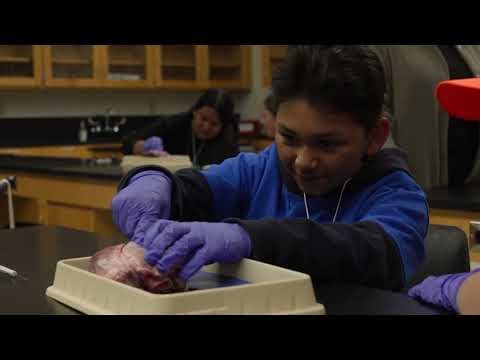Gavilan College | Science Alive 2026