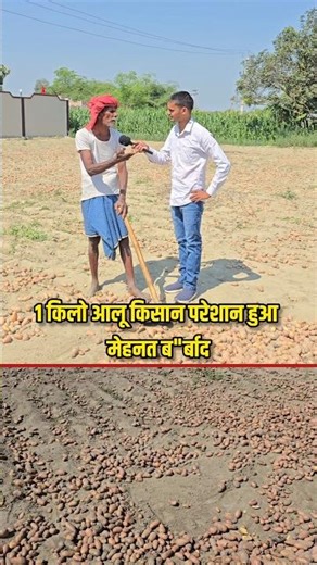Potatoes at Rs 1 per kg are completely wasted 😭