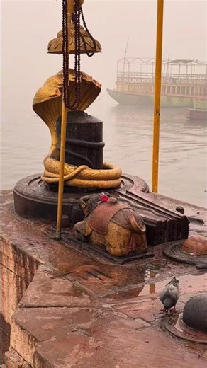 sab kuch sarkar tum hi se hai 🙏🌺🌹#subscribe #mahadev #shorts #bholenath #trending #shiv #mahakal