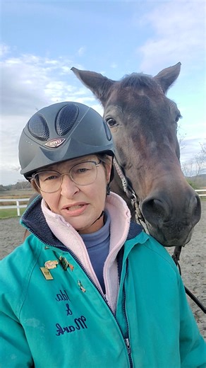 Back to Basics Challenge: Tracking Up Are your horse’s steps reaching up and under? This week’s challenge focuses on developing true engagement | Ida Norris Western Dressage
