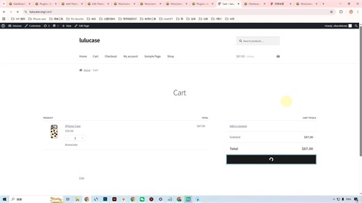 如何使用Paypal个人账号收款 WP+woocommerce建站