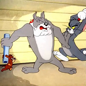 Tom & Jerry Lover - Best Funny Cartoons | Cartoons Clip HD