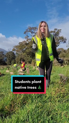 Greymouth High School Students Plant Native Trees for Future Generations