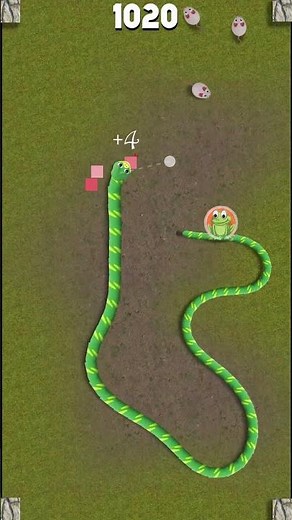 Play the Snake Classic Survival Mode