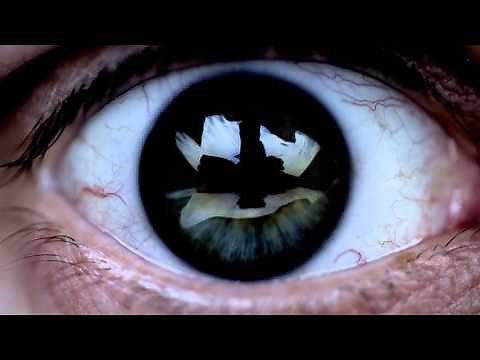 Dusky - Ingrid Is A Hybrid