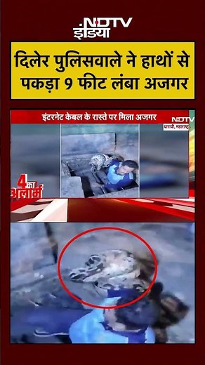 Python Viral Video: दिलेर पुलिसवाले ने हाथों से पकड़ा 9 फीट लंबा अजगर #shorts #dharavi #viralvideo