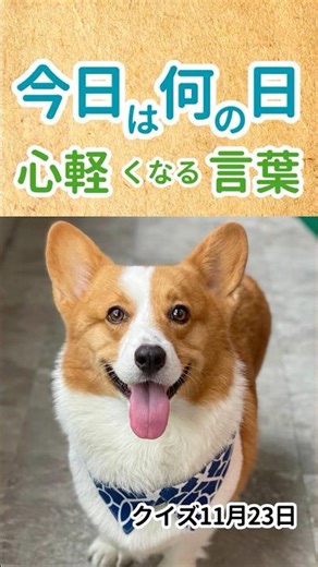 今日は何の日 心が軽くなる言葉 クイズ11月23日 #今日は何の日 #雑学 #豆知識 #犬