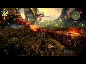 The Witcher 2: Assassins of Kings - Kayran Boss battle