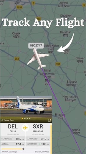 Track Any Flight Live ✈️