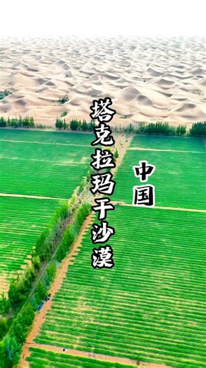 World's 2nd Largest Desert: Taklamakan "Sea of Death" SHOCKS! 😱🇨🇳