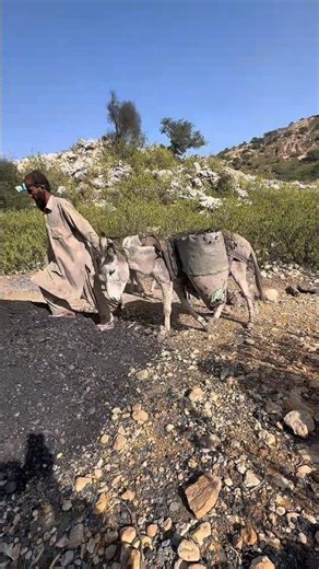 Coal Mining Process Donkey in action 🥶 #horror #mineralindustry #coalmining #mining