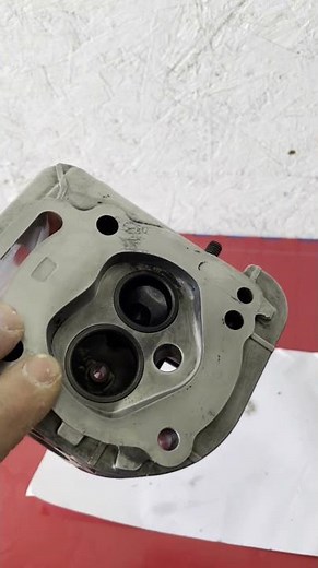 Will it come clean? Briggs & Stratton Cylinder Head
