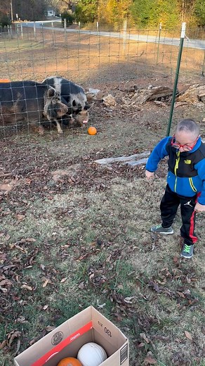 41K views · 5.8K reactions | Nick loves the pumpkin toss with animals every year after the fall holidays! No animals were harmed! #pumpkins #nicksmith #nickandpatticake | Nick Smith | Facebook