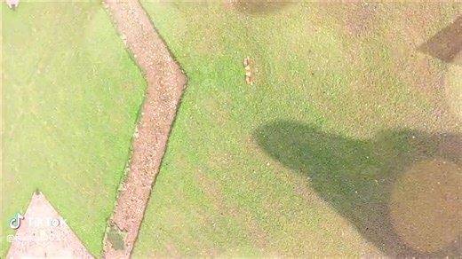 Telezzz💯 (@telezzz1)’s videos with original sound - Telezzz💯